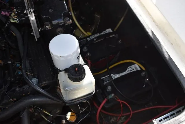 Slide: The Image of Stingray 240 CS 2002 - 41