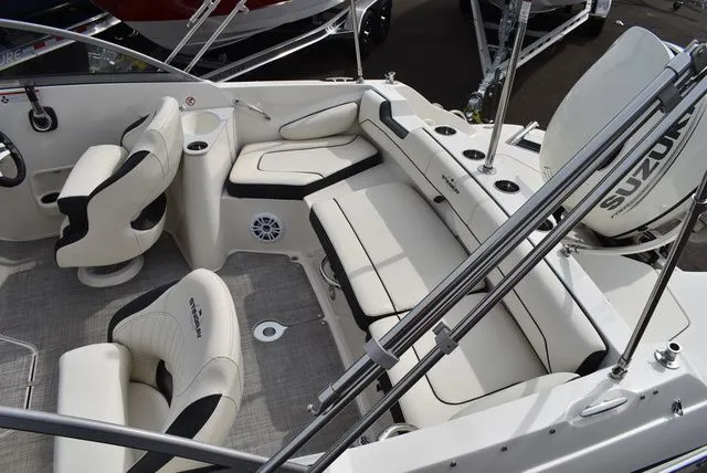 Slide: The Image of Stingray 201 DS 2020 - 19