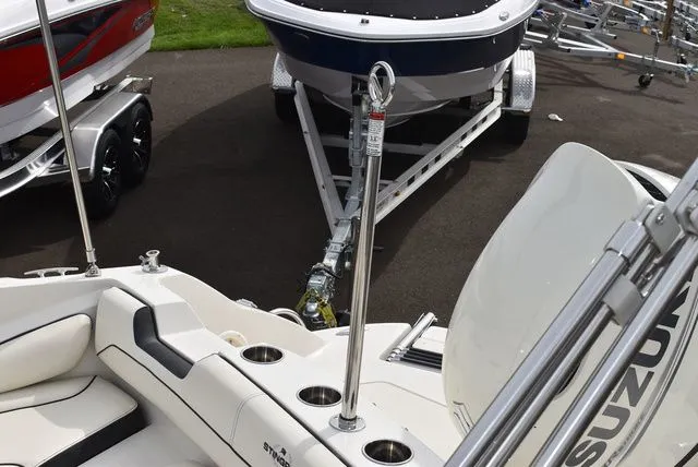 Slide: The Image of Stingray 201 DS 2020 - 20