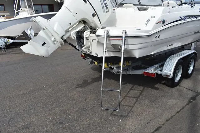 Slide: The Image of Stingray 201 DS 2020 - 25