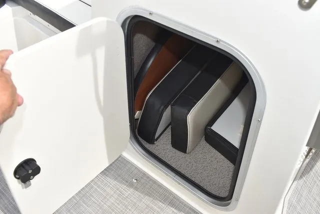 Slide: The Image of Stingray 201 DS 2020 - 50