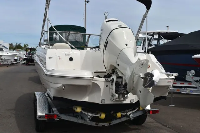 Slide: The Image of Stingray 201 DS 2020 - 6