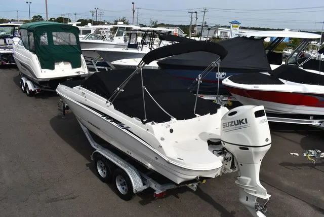 Slide: The Image of Stingray 201 DS 2020 - 64