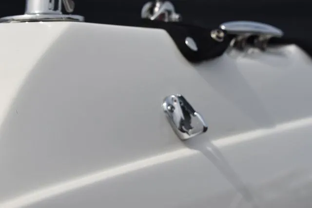 Slide: The Image of Stingray 201 DS 2020 - 69