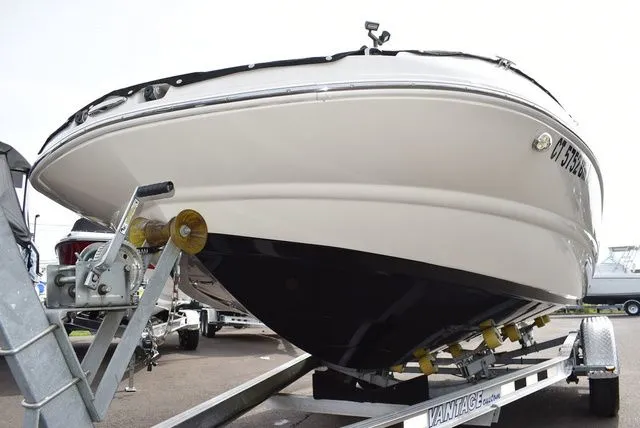 Slide: The Image of Stingray 201 DS 2020 - 72