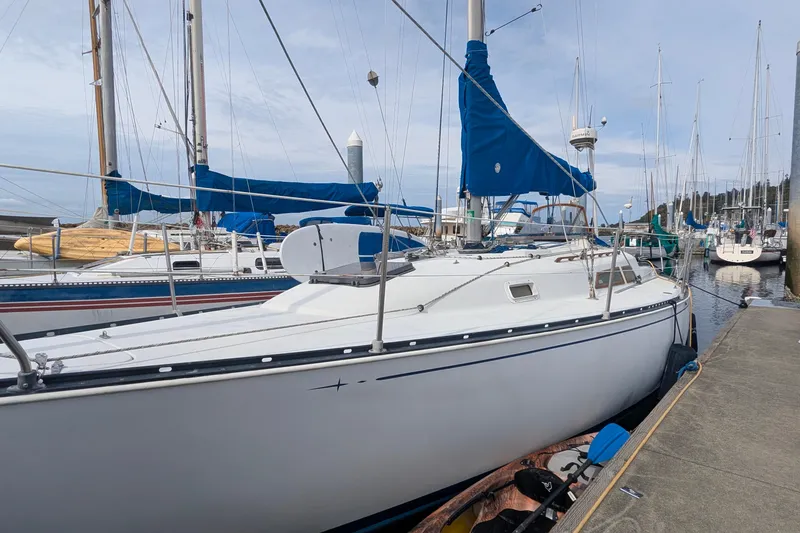 Slide: The Image of Cockpit controls of a 1980 C&C 36 sailboat, featuring a throttle lever and winch. - 20