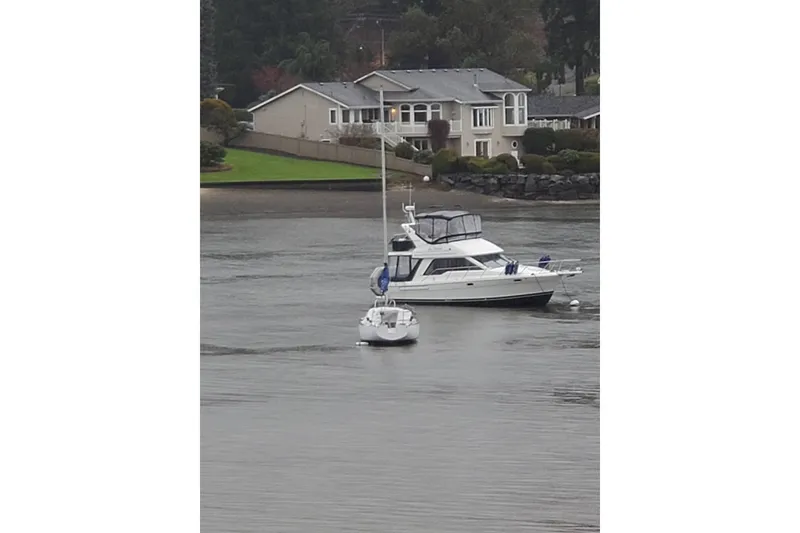 Slide: The Image of 1998 Bayliner 3388 Command Bridge Motoryacht anchored near waterfront homes. - 46