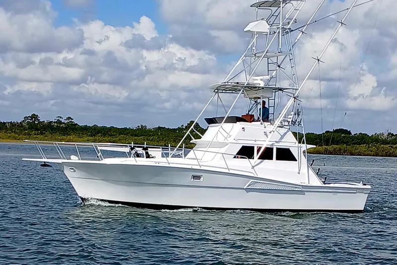 The Image of 1976 Viking 40 Convertible boat with tower cruising on water under cloudy sky. - 0