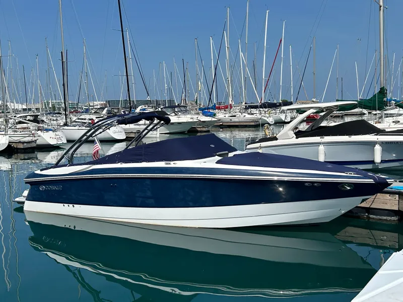 The Image of Cobalt 282 2006 - 0