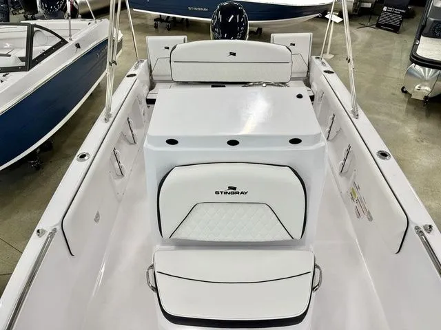 Slide: The Image of Stingray 173 CC 2026 - 11