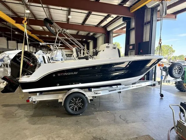 Slide: The Image of Stingray 173 CC 2026 - 14