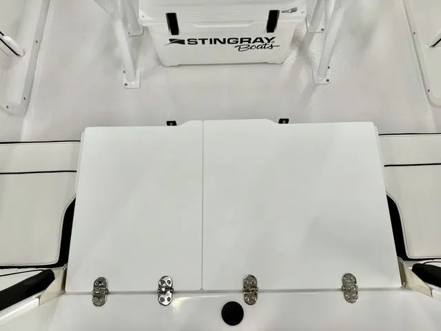 Slide: The Image of Stingray 173 CC 2026 - 3