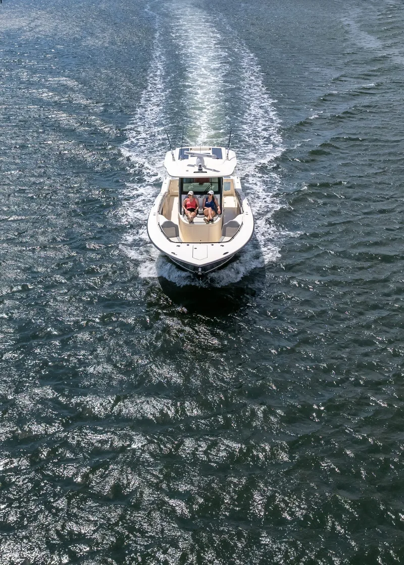 Slide: The Image of Scout 377 LXF 2025 - 16