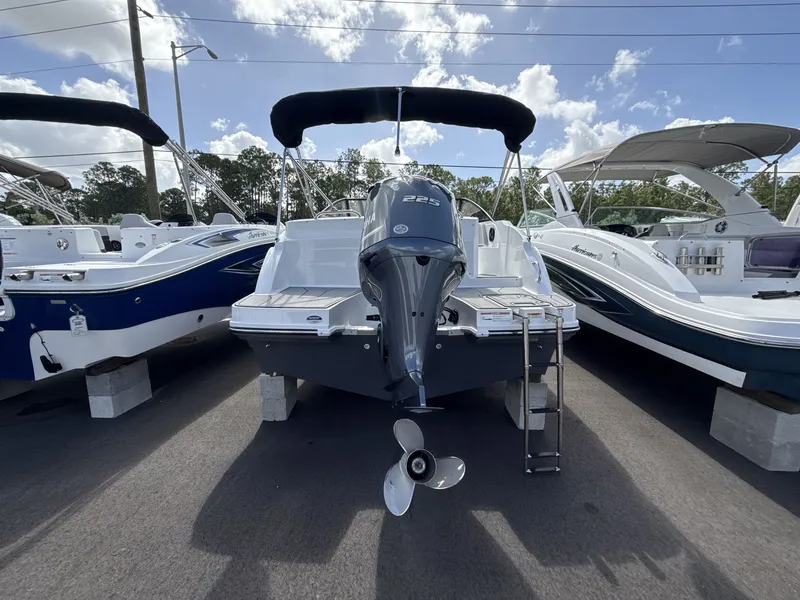 Slide: The Image of Hurricane SD 235 OB 2026 - 3