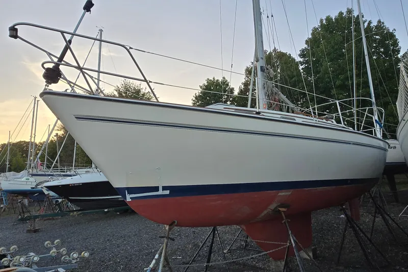 The Image of 1986 Pearson 303 Sloop sailboat on stands, surrounded by trees and other boats. - 0