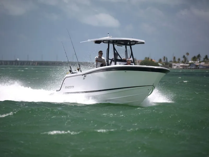 Slide: The Image of Blackfin 222 CC 2026 - 0