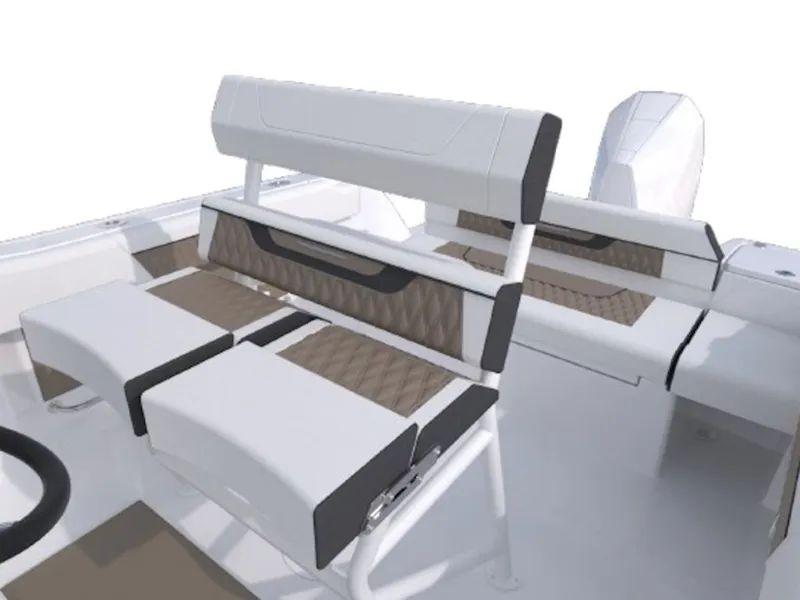 Slide: The Image of Blackfin 222 CC 2026 - 5