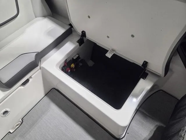 Slide: The Image of Yamaha SX250 2026 - 10