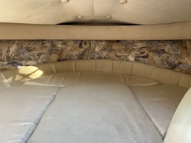 Slide: The Image of Cobalt 253 1996 - 13