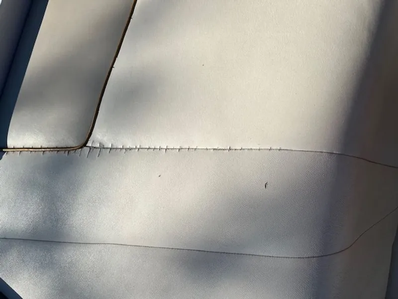 Slide: The Image of Cobalt 253 1996 - 27