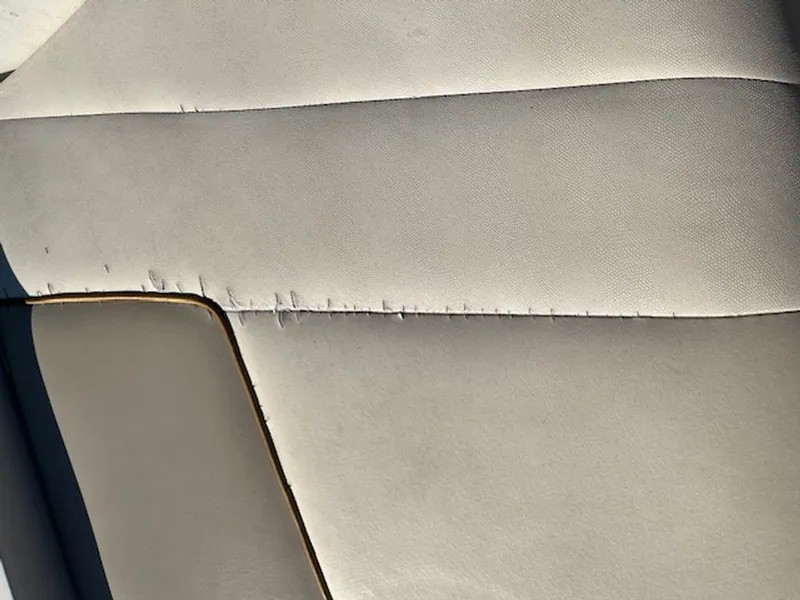 Slide: The Image of Cobalt 253 1996 - 29