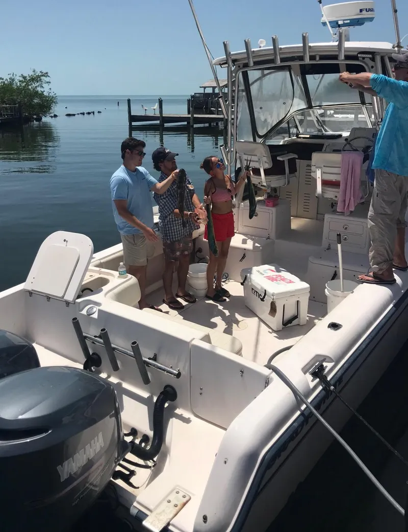 Slide: The Image of 2003 Grady-White Sailfish 282 boat on dry dock under clear blue sky. - 2