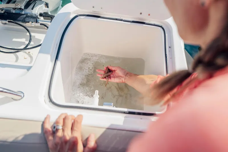 Slide: The Image of Person handling bait in livewell on 2026 Bayliner Trophy T22SC boat. - 34