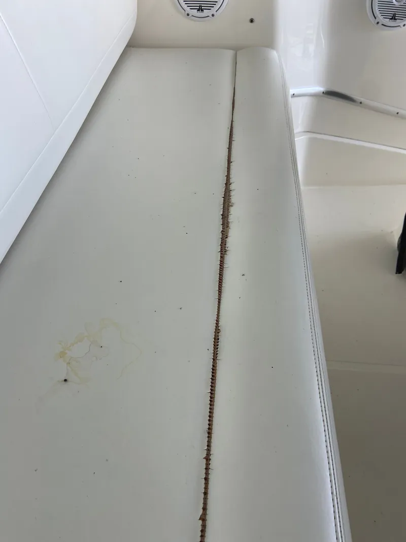 Slide: The Image of Silverton 33 Sport Sedan 2002 - 26