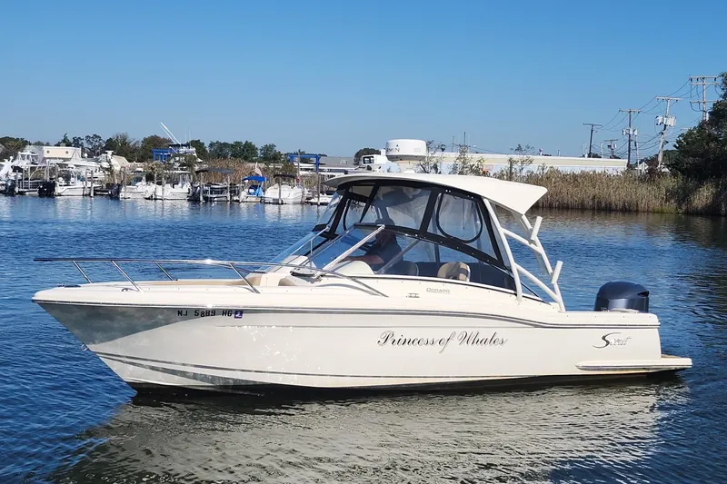 Slide: The Image of 2015 Scout 245 Dorado boat on water, named "Princess of Whales," with marina background. - 2