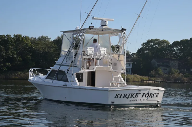 Slide: The Image of Blackfin 33 Flybridge 1996 - 2