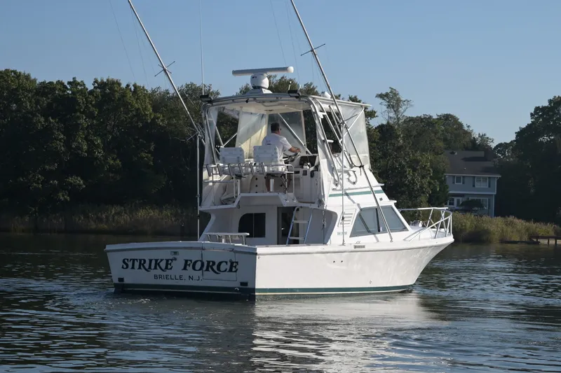 Slide: The Image of Blackfin 33 Flybridge 1996 - 4