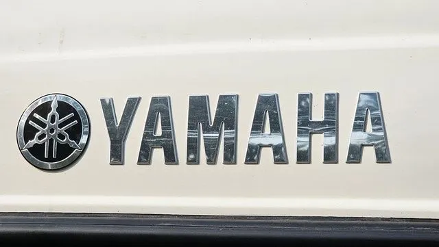 Slide: The Image of Yamaha SX210 2011 - 19
