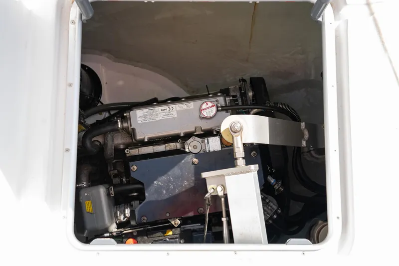 Slide: The Image of Leopard 44 2016 - 58