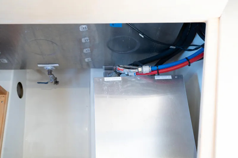 Slide: The Image of Leopard 44 2016 - 62