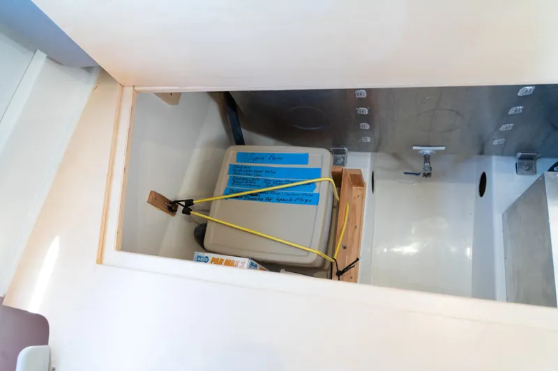 Slide: The Image of Leopard 44 2016 - 63