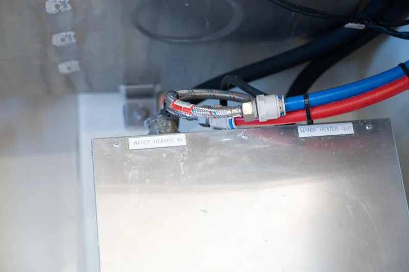 Slide: The Image of Leopard 44 2016 - 64