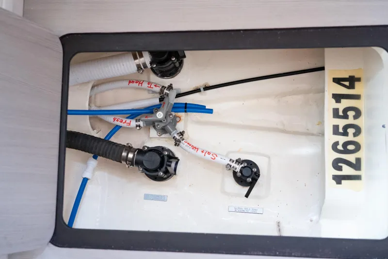 Slide: The Image of Leopard 44 2016 - 66