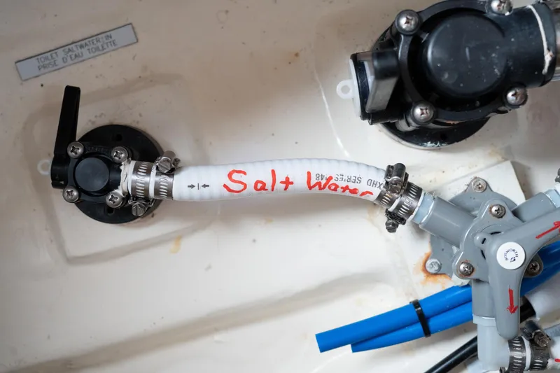 Slide: The Image of Leopard 44 2016 - 67