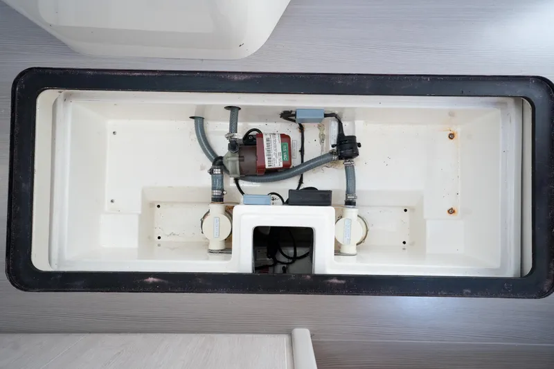 Slide: The Image of Leopard 44 2016 - 71