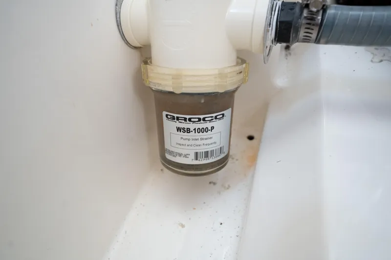 Slide: The Image of Leopard 44 2016 - 72