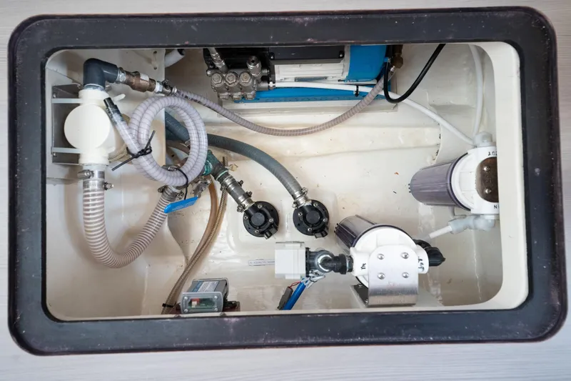 Slide: The Image of Leopard 44 2016 - 73