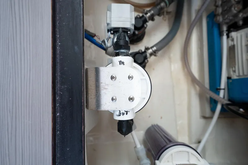 Slide: The Image of Leopard 44 2016 - 74