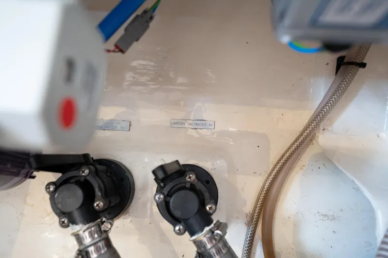 Slide: The Image of Leopard 44 2016 - 75