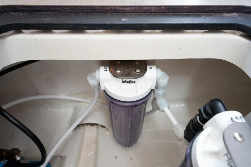 Slide: The Image of Leopard 44 2016 - 76