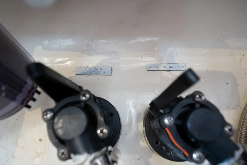 Slide: The Image of Leopard 44 2016 - 79