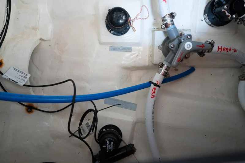 Slide: The Image of Leopard 44 2016 - 86