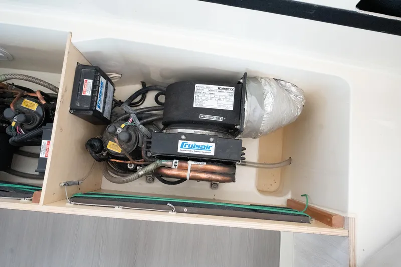 Slide: The Image of Leopard 44 2016 - 87