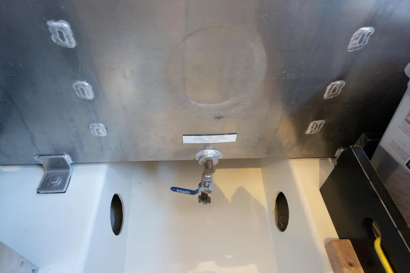 Slide: The Image of Leopard 44 2016 - 90