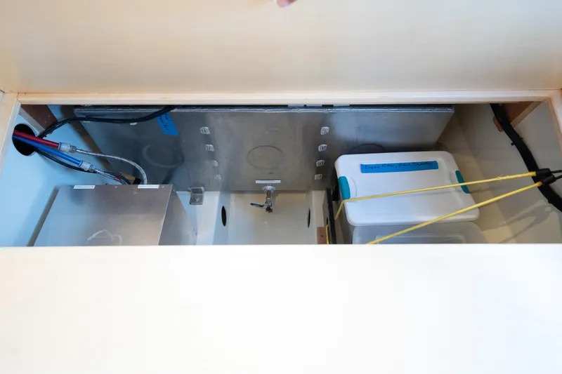 Slide: The Image of Leopard 44 2016 - 92