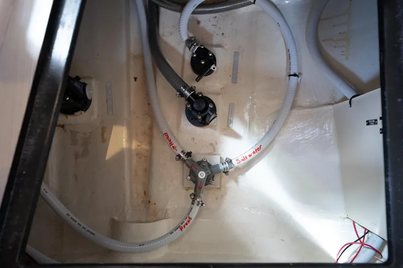 Slide: The Image of Leopard 44 2016 - 93